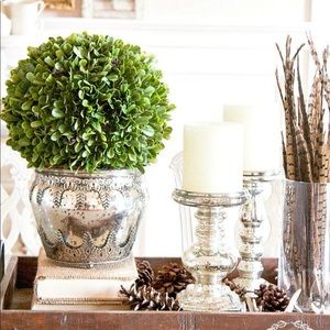 Meet your Posher, Silvia